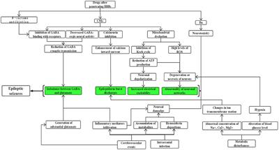 Epileptic Seizures After Allogeneic Hematopoietic Stem Cell Transplantation